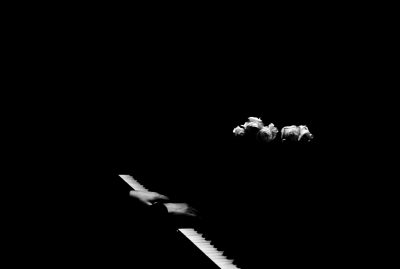 Pianist mit Rosen auf schwarzem Hintergrund – schwarz-weiße Fineart Fotografie