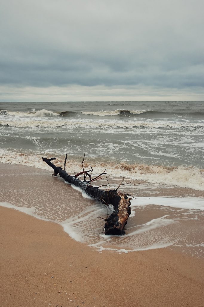 Angespülter Baumstamm am grauen Sandstrand – dramatische Wellen