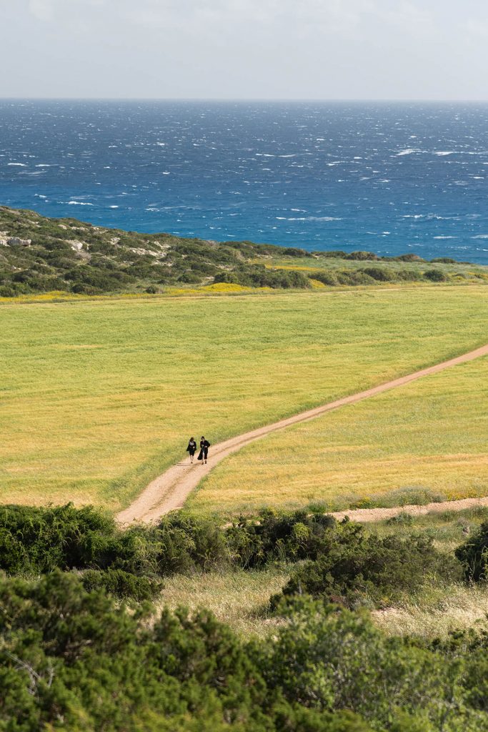 Zwei Wanderer auf einem Weg auf dem Rapsfeld mit Blick auf das Meer – Zypernlandschaft