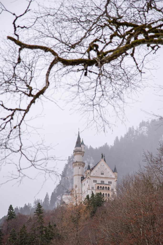 Schloss Neuschwanstein eingerahmt von kahlen Ästen im Winter