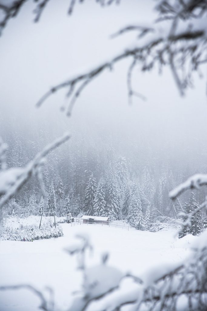 Verschneite Berghütte eingerahmt von Schneehängen und Nadelwald
