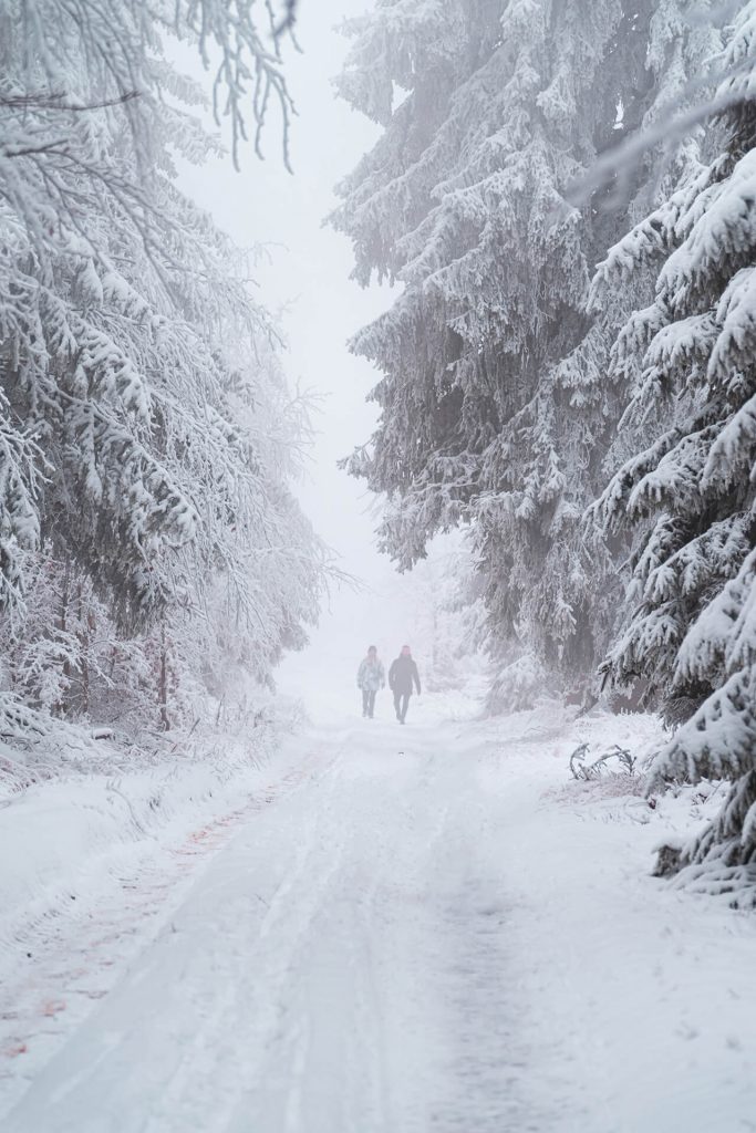 Zwei Personen beim Winterspaziergang im verschneiten Wald