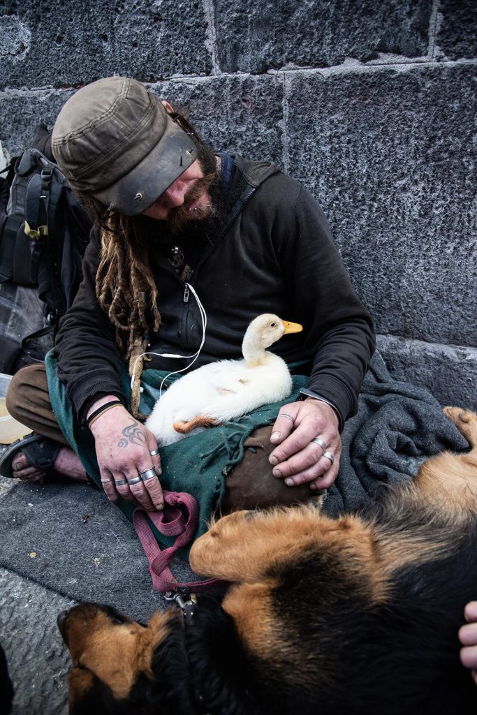 Obdachloser mit Ente und Hund – berührende Szene aus dem Straßenalltag
