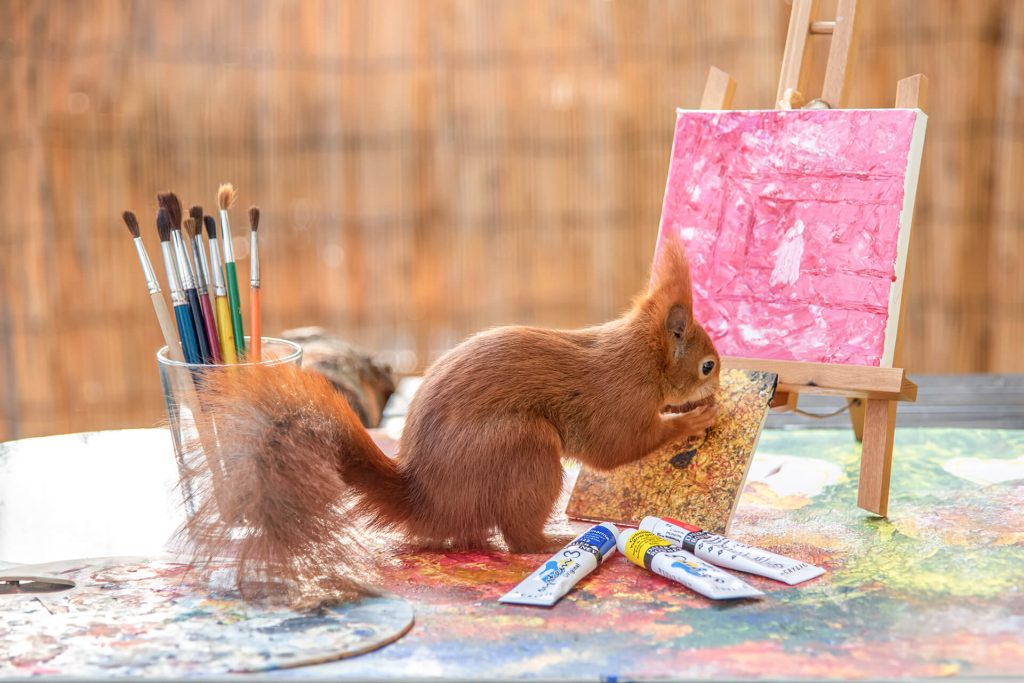 Eichhörnchen inspiziert Gemälde im Atelier – Tierkunst in Köln