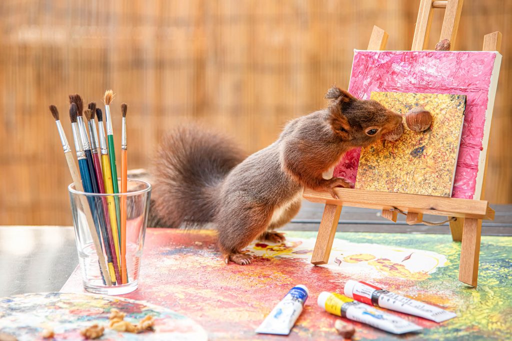 Kreatives Eichhörnchen im Maleratelier mit Pinsel und Leinwand in Köln