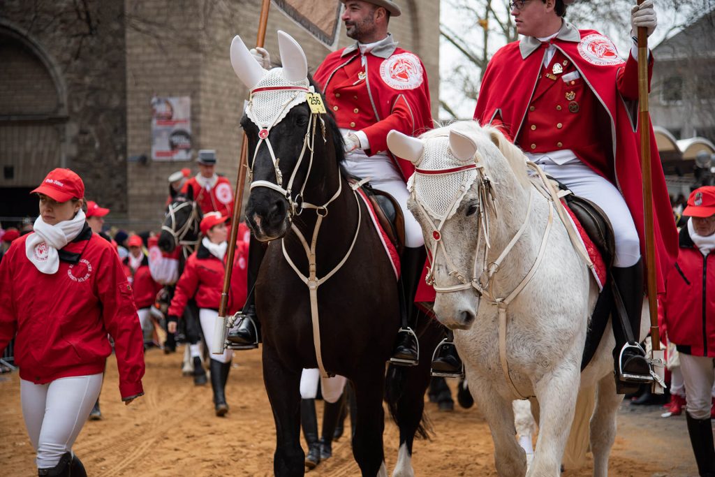 Reiter in rot-weißen Uniformen auf schwarzen und weißen Pferden beim Kölner Karnevalsumzug.