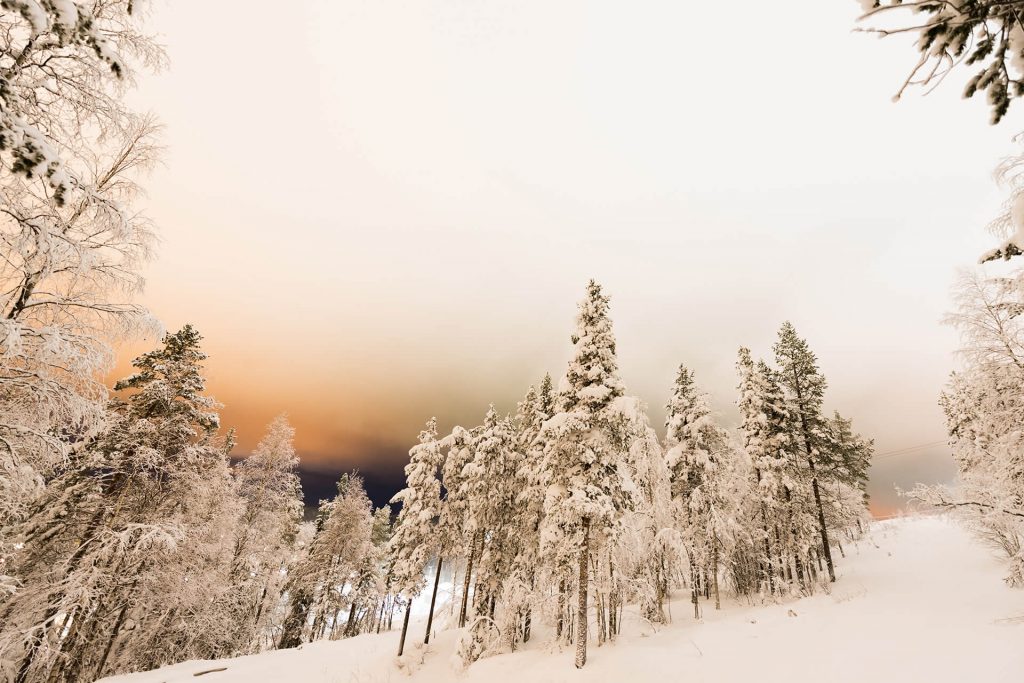 Verschneiter Winterwald unter warmem, orangefarbenem Himmel in nordischer Landschaft.